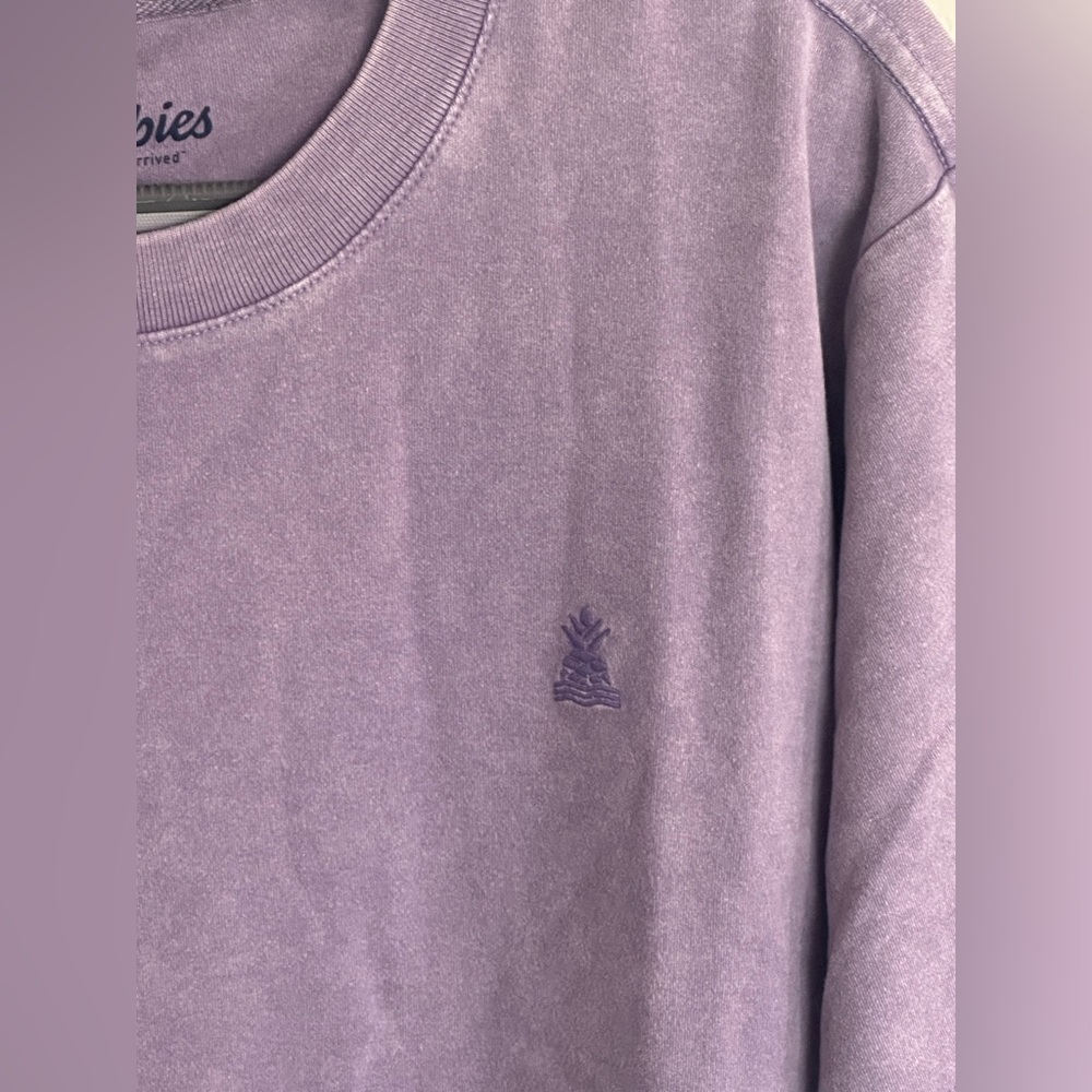 Chubbies Men's Lavender Haze Oversized T Shirt - Picture 3 of 8